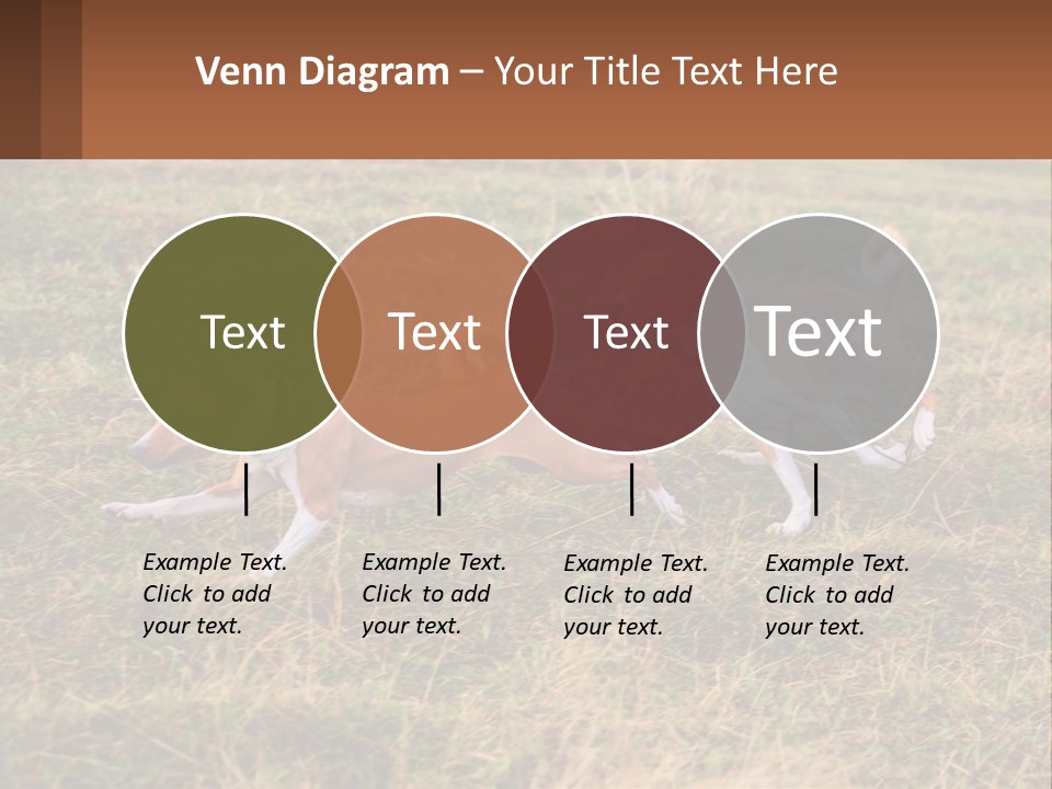 Two Dogs Running In A Field Powerpoint Template PowerPoint Template