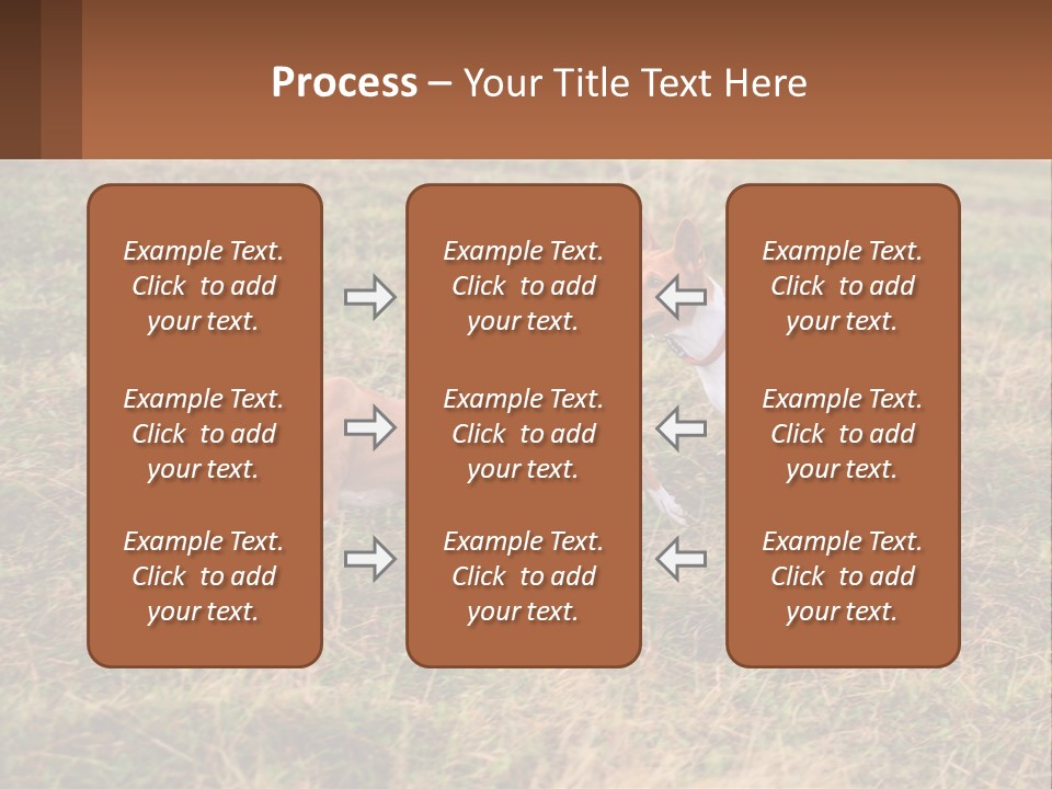 Two Dogs Running In A Field Powerpoint Template PowerPoint Template