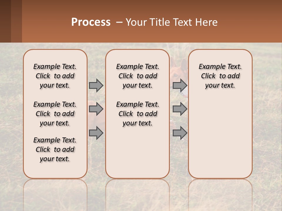 Two Dogs Running In A Field Powerpoint Template PowerPoint Template