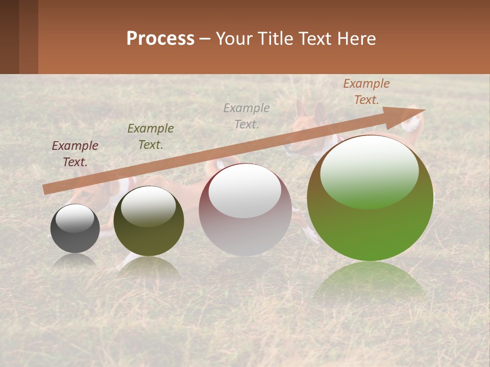 Two Dogs Running In A Field Powerpoint Template PowerPoint Template