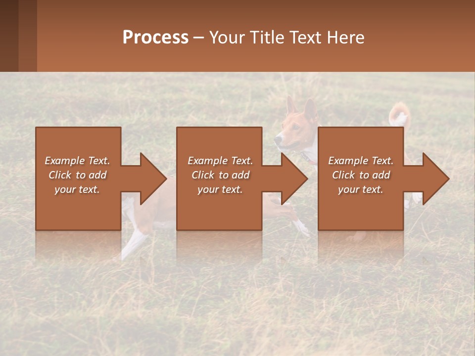 Two Dogs Running In A Field Powerpoint Template PowerPoint Template