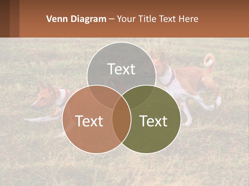 Two Dogs Running In A Field Powerpoint Template PowerPoint Template