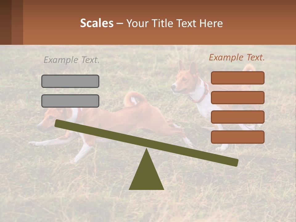 Two Dogs Running In A Field Powerpoint Template PowerPoint Template
