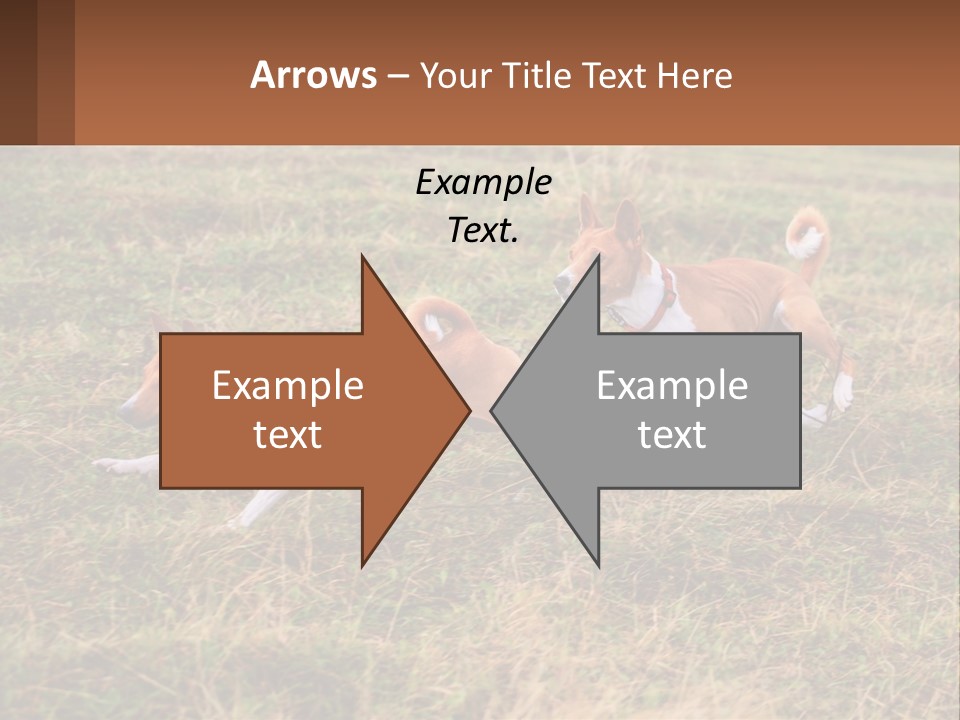 Two Dogs Running In A Field Powerpoint Template PowerPoint Template