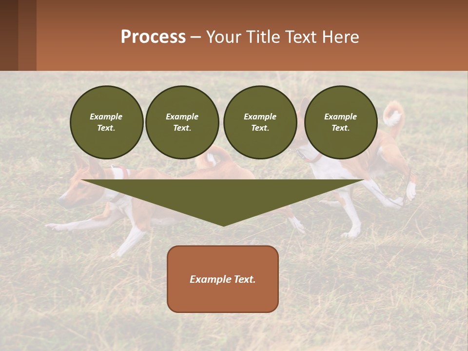 Two Dogs Running In A Field Powerpoint Template PowerPoint Template