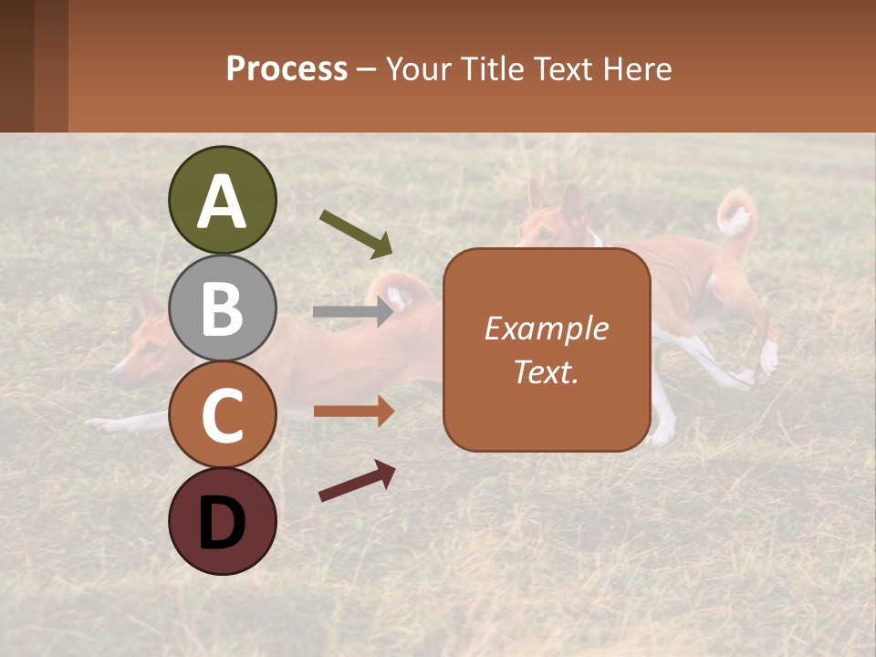 Two Dogs Running In A Field Powerpoint Template PowerPoint Template