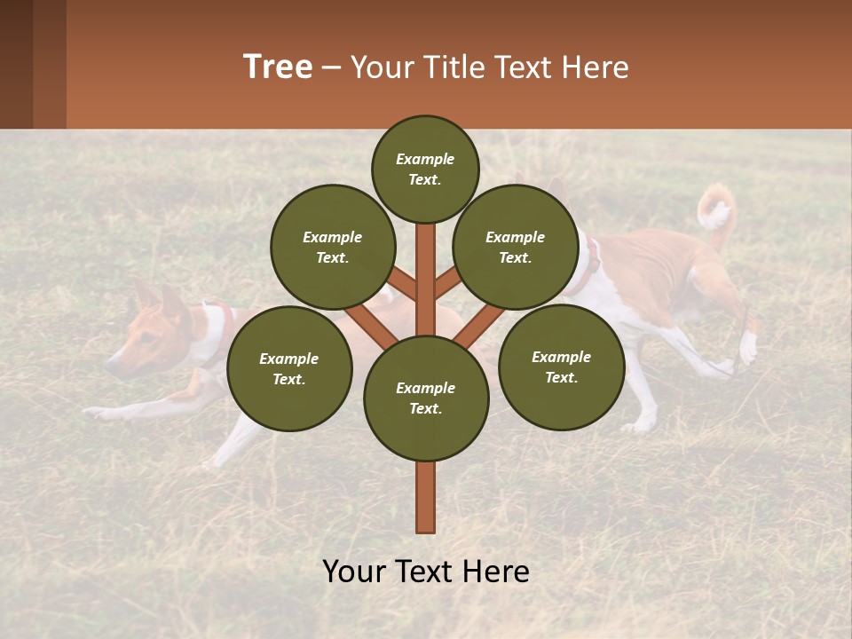 Two Dogs Running In A Field Powerpoint Template PowerPoint Template