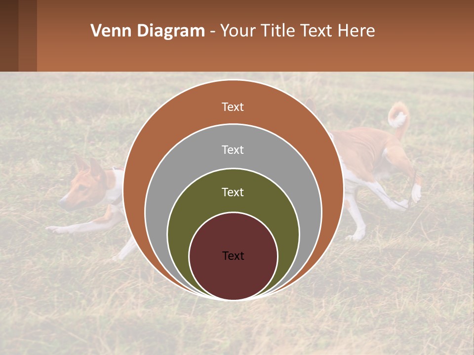 Two Dogs Running In A Field Powerpoint Template PowerPoint Template