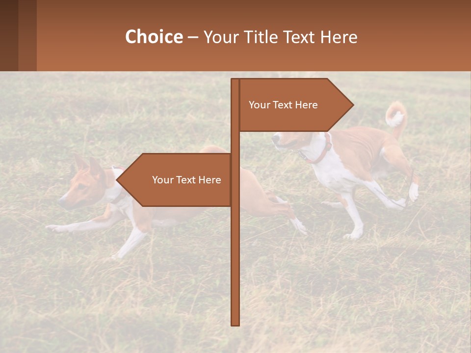 Two Dogs Running In A Field Powerpoint Template PowerPoint Template