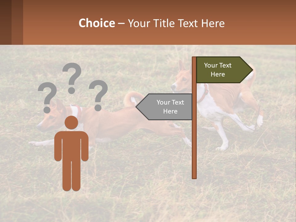 Two Dogs Running In A Field Powerpoint Template PowerPoint Template