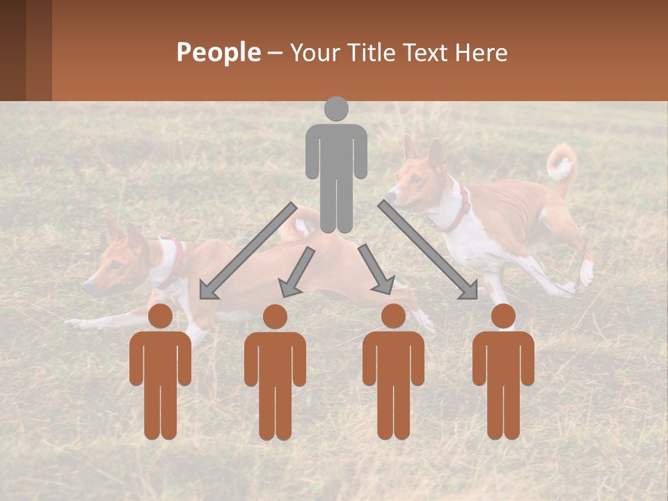 Two Dogs Running In A Field Powerpoint Template PowerPoint Template