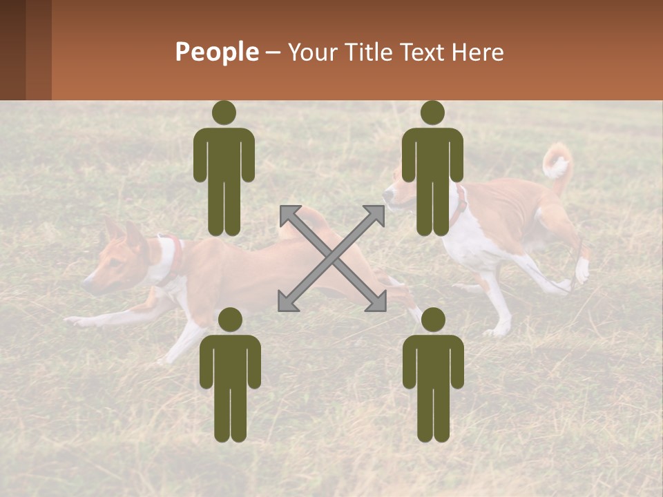 Two Dogs Running In A Field Powerpoint Template PowerPoint Template