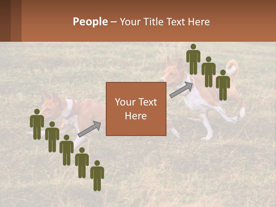 Two Dogs Running In A Field Powerpoint Template PowerPoint Template