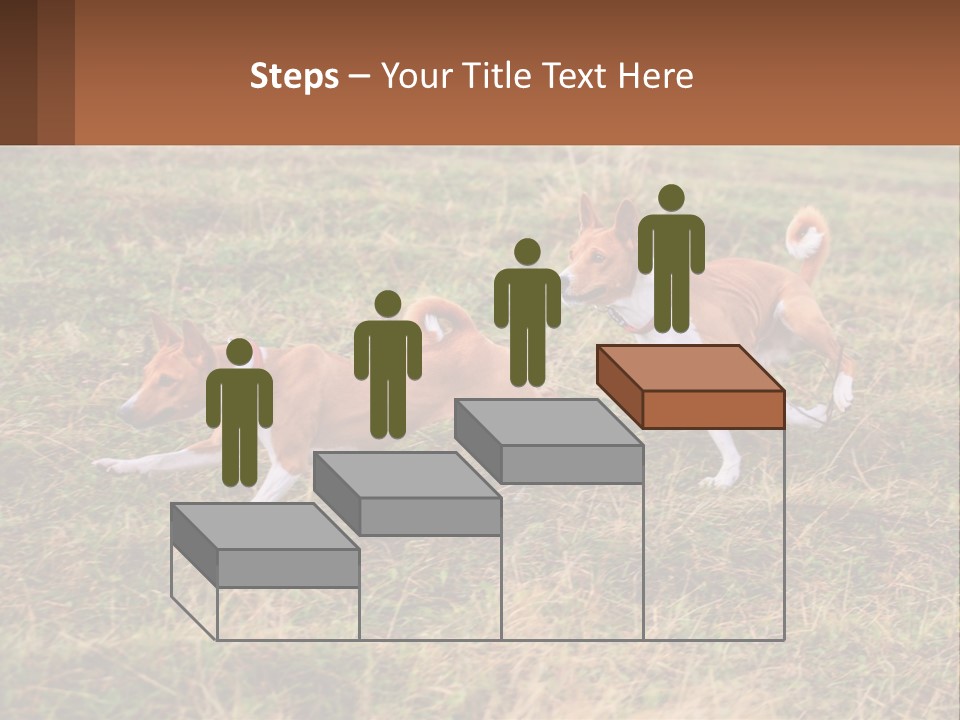 Two Dogs Running In A Field Powerpoint Template PowerPoint Template