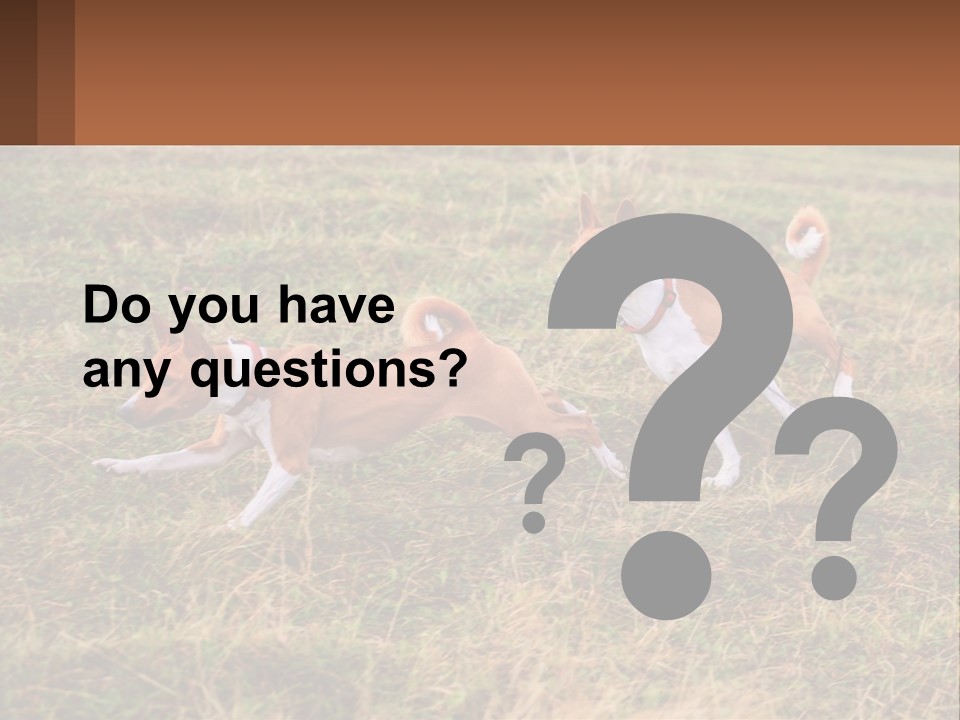 Two Dogs Running In A Field Powerpoint Template PowerPoint Template