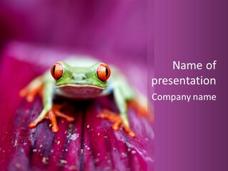 A Frog Sitting On Top Of A Purple Flower PowerPoint Template