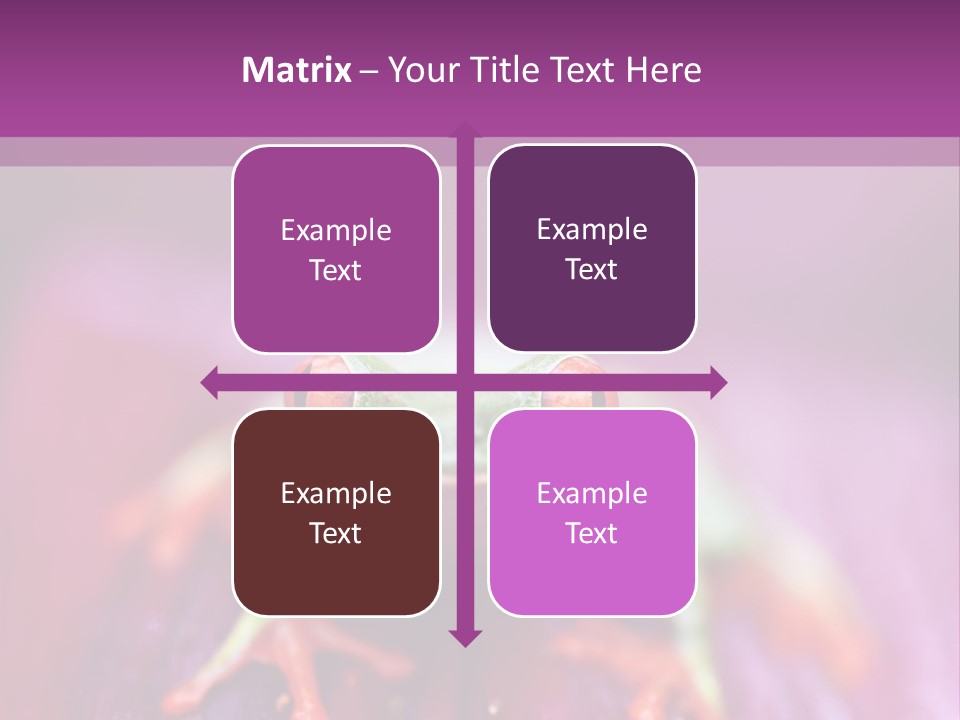 A Frog Sitting On Top Of A Purple Flower PowerPoint Template