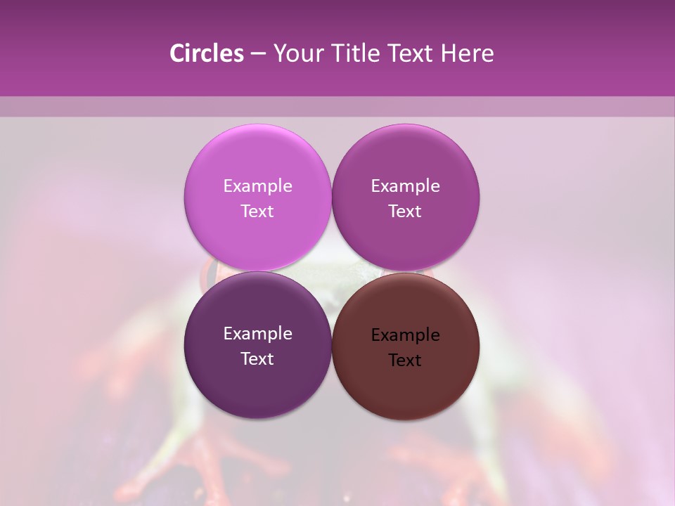 A Frog Sitting On Top Of A Purple Flower PowerPoint Template