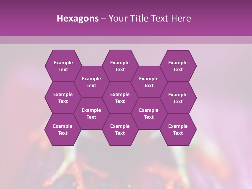 A Frog Sitting On Top Of A Purple Flower PowerPoint Template