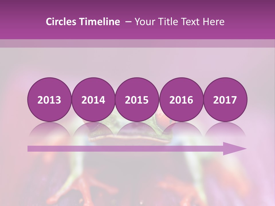 A Frog Sitting On Top Of A Purple Flower PowerPoint Template