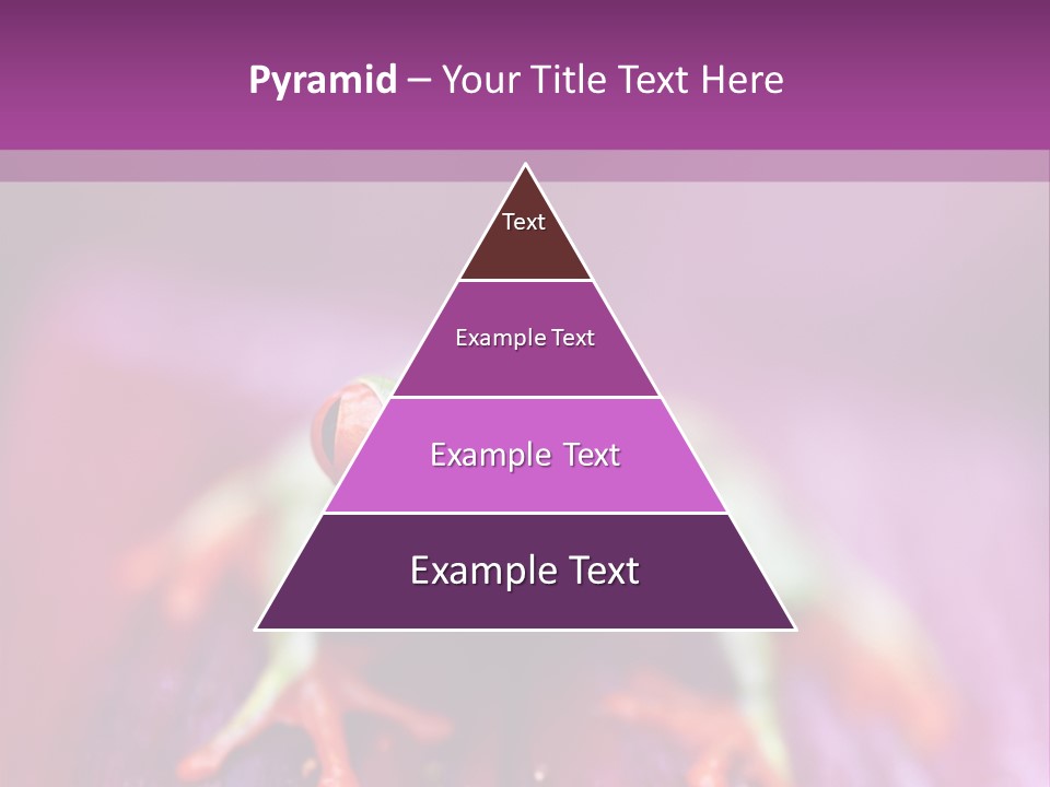 A Frog Sitting On Top Of A Purple Flower PowerPoint Template