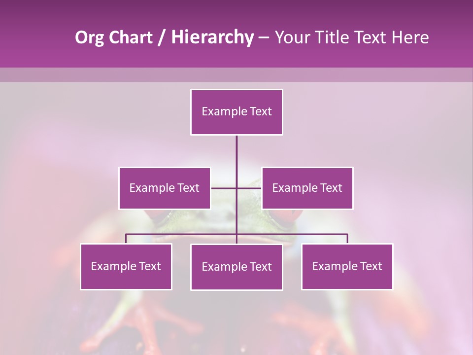 A Frog Sitting On Top Of A Purple Flower PowerPoint Template