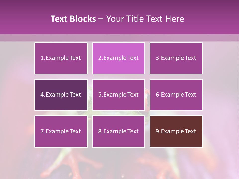 A Frog Sitting On Top Of A Purple Flower PowerPoint Template