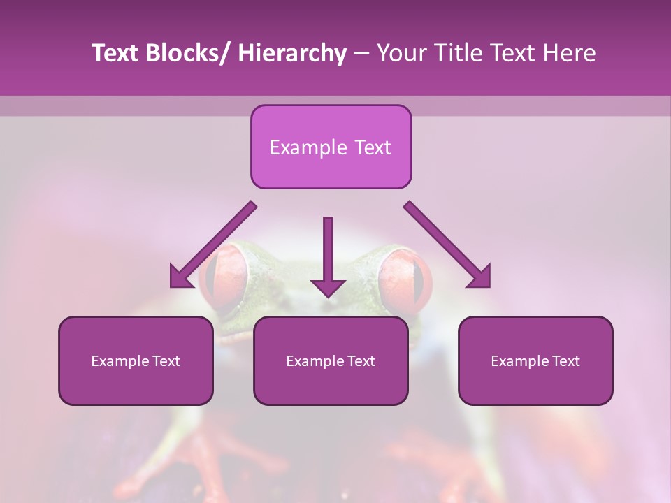 A Frog Sitting On Top Of A Purple Flower PowerPoint Template