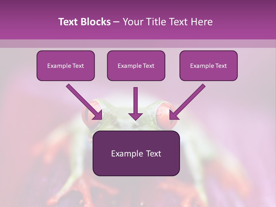 A Frog Sitting On Top Of A Purple Flower PowerPoint Template
