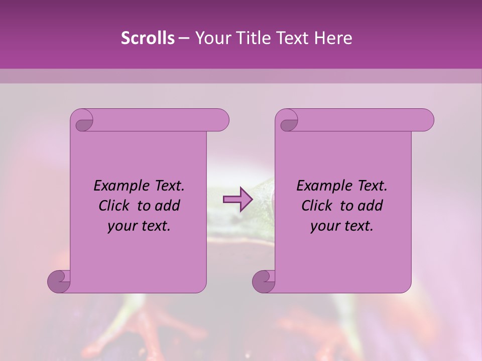 A Frog Sitting On Top Of A Purple Flower PowerPoint Template