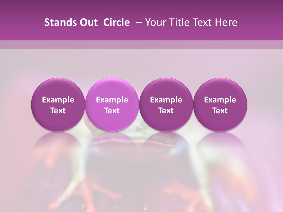 A Frog Sitting On Top Of A Purple Flower PowerPoint Template