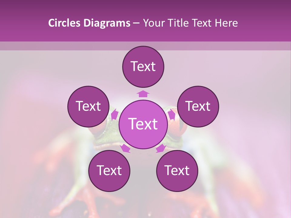 A Frog Sitting On Top Of A Purple Flower PowerPoint Template