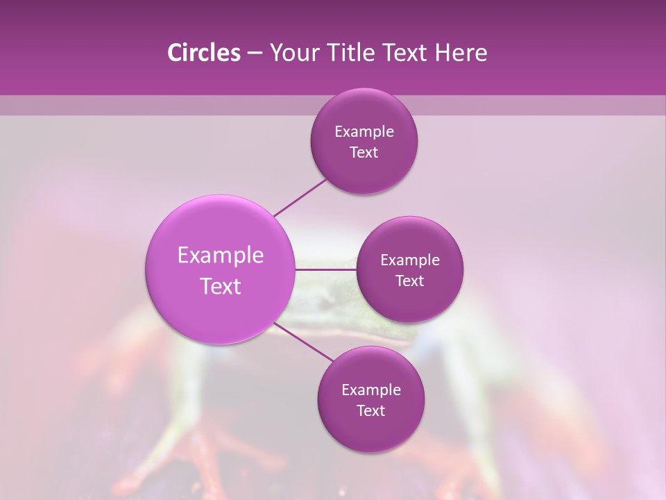 A Frog Sitting On Top Of A Purple Flower PowerPoint Template