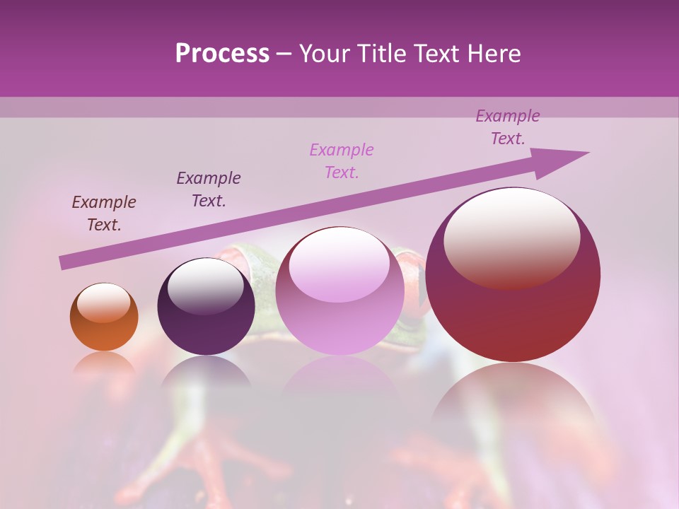 A Frog Sitting On Top Of A Purple Flower PowerPoint Template