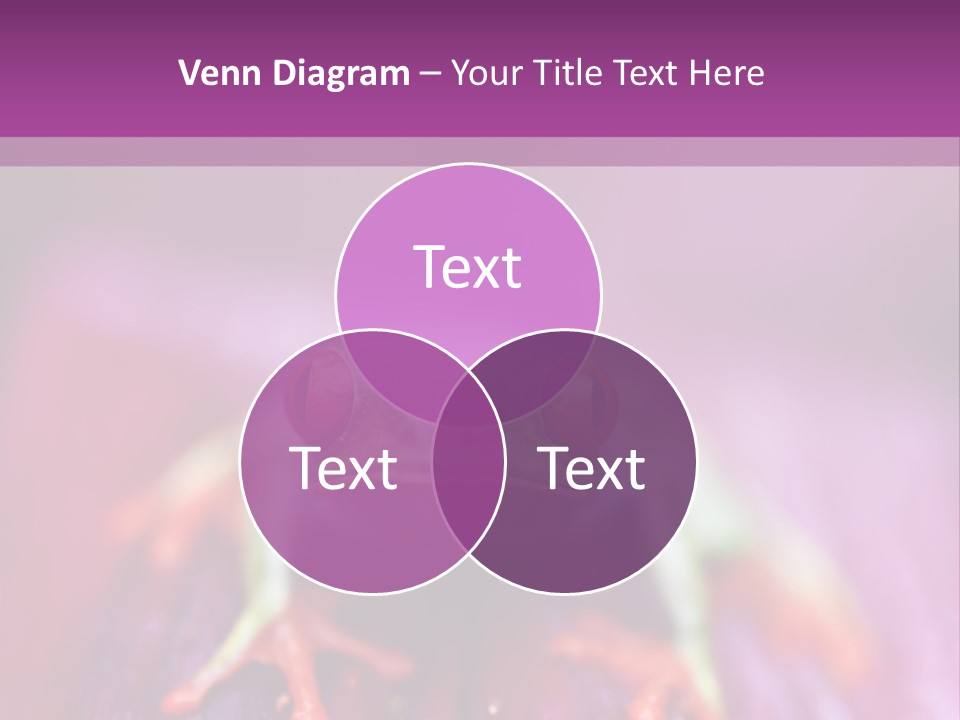 A Frog Sitting On Top Of A Purple Flower PowerPoint Template