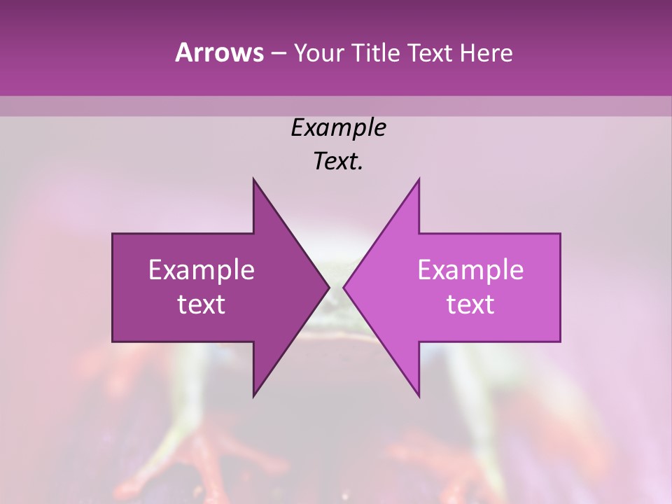 A Frog Sitting On Top Of A Purple Flower PowerPoint Template