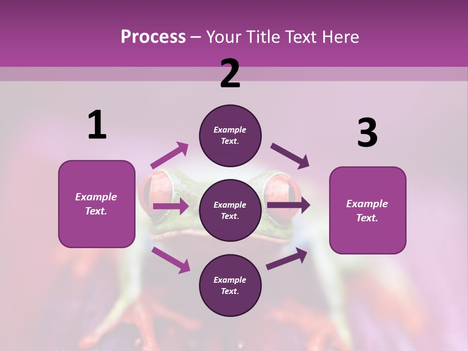 A Frog Sitting On Top Of A Purple Flower PowerPoint Template