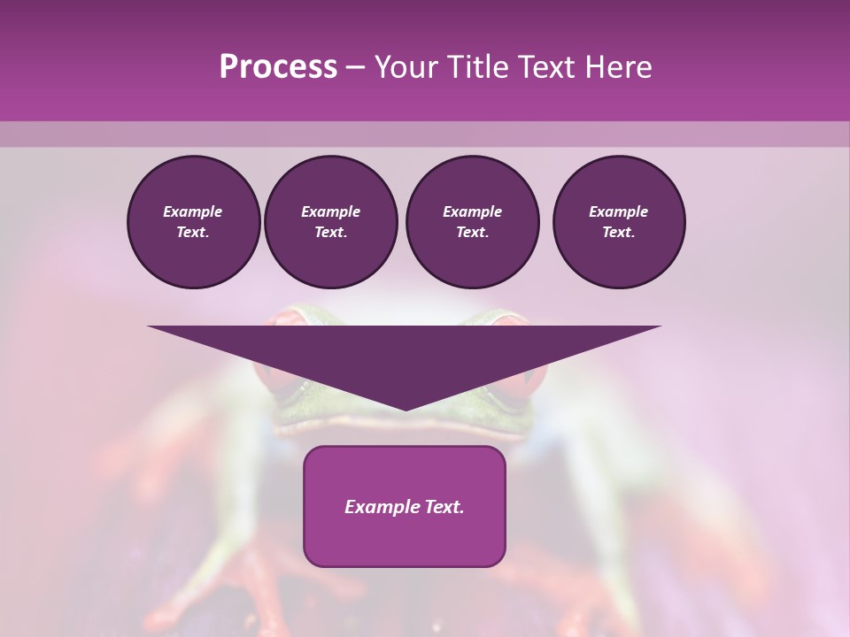A Frog Sitting On Top Of A Purple Flower PowerPoint Template