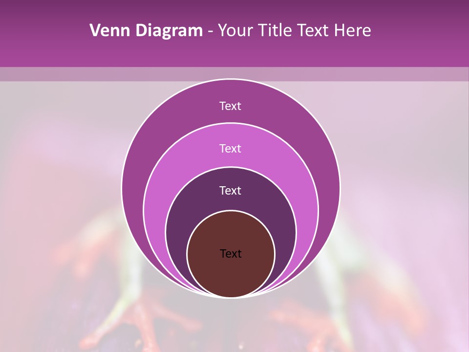 A Frog Sitting On Top Of A Purple Flower PowerPoint Template