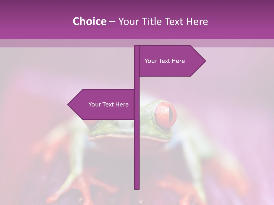 A Frog Sitting On Top Of A Purple Flower PowerPoint Template