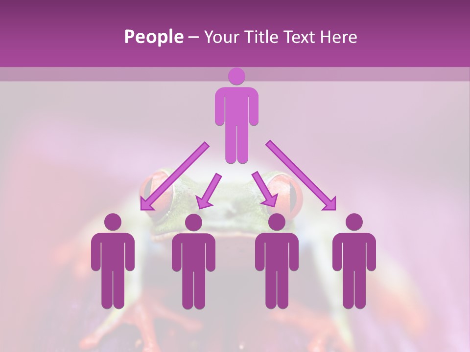 A Frog Sitting On Top Of A Purple Flower PowerPoint Template