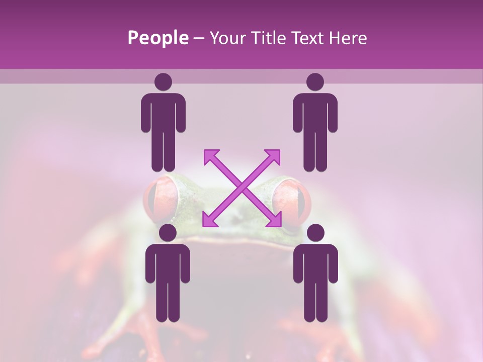 A Frog Sitting On Top Of A Purple Flower PowerPoint Template
