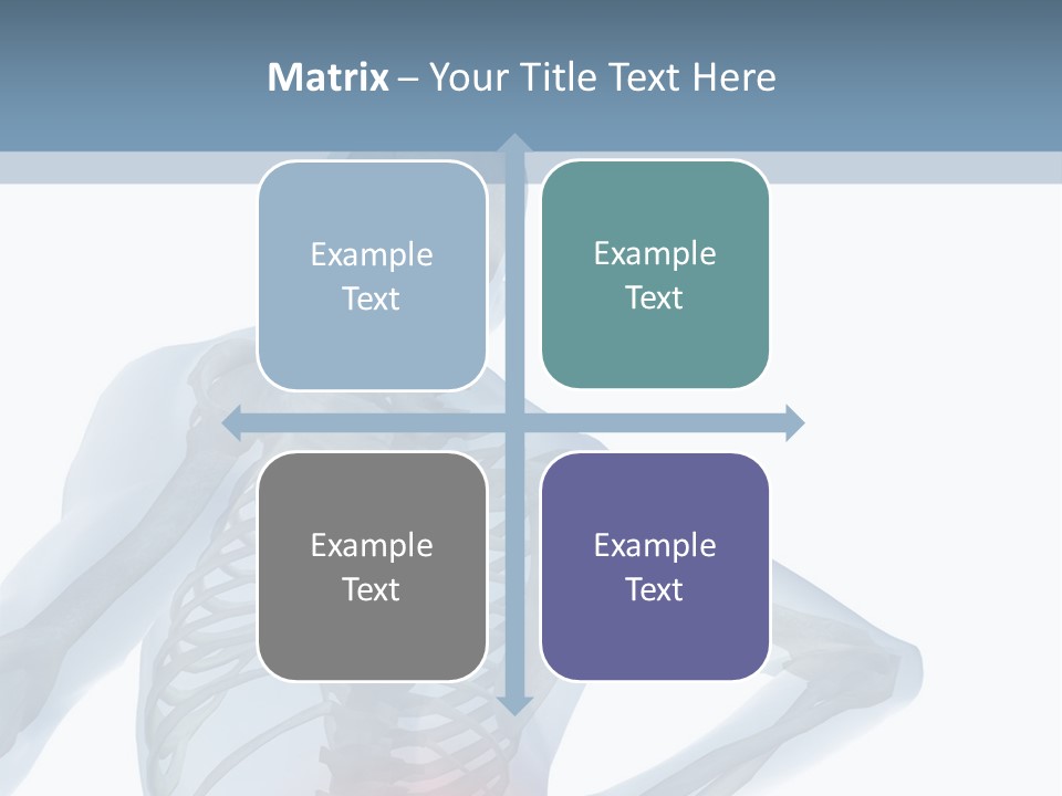 A Skeleton Holding His Back In Pain Powerpoint Presentation PowerPoint Template