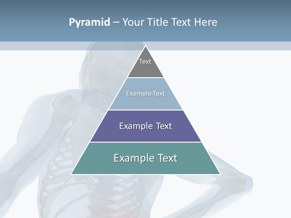 A Skeleton Holding His Back In Pain Powerpoint Presentation PowerPoint Template