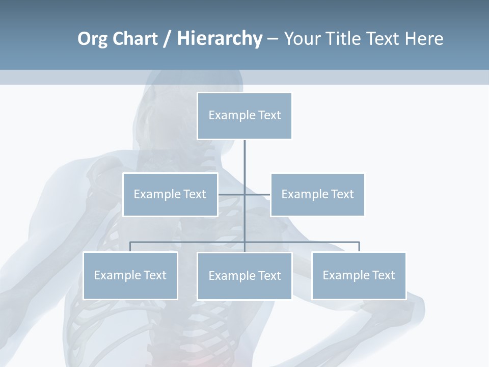 A Skeleton Holding His Back In Pain Powerpoint Presentation PowerPoint Template