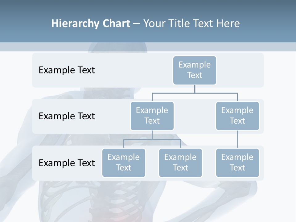 A Skeleton Holding His Back In Pain Powerpoint Presentation PowerPoint Template