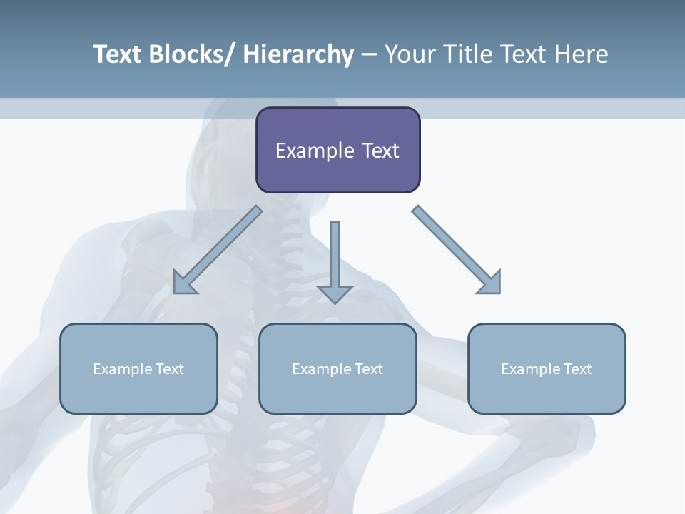 A Skeleton Holding His Back In Pain Powerpoint Presentation PowerPoint Template
