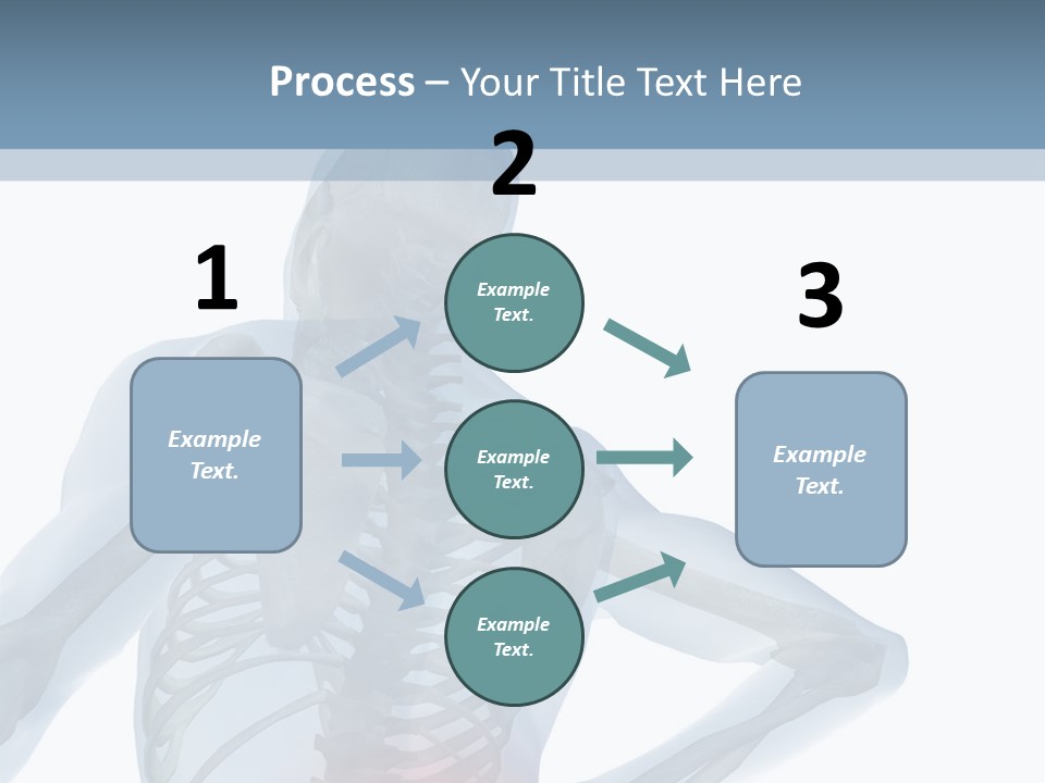 A Skeleton Holding His Back In Pain Powerpoint Presentation PowerPoint Template