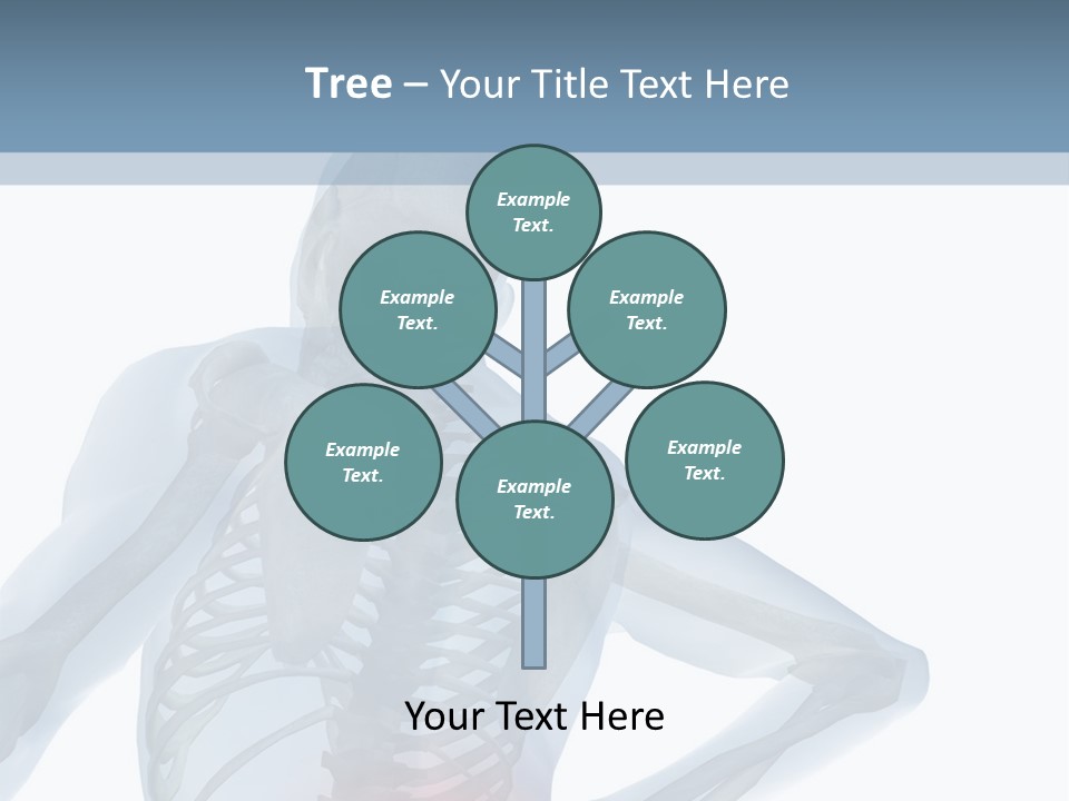 A Skeleton Holding His Back In Pain Powerpoint Presentation PowerPoint Template