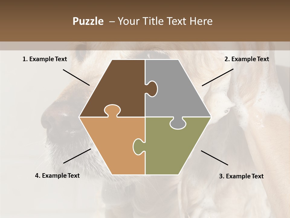 A Dog With A Shower Cap On It's Head PowerPoint Template